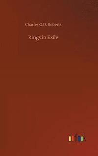 bokomslag Kings in Exile