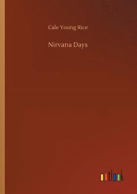 bokomslag Nirvana Days