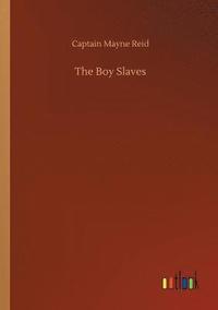 bokomslag Boy Slaves