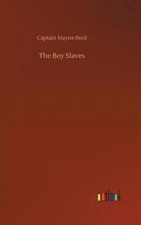 bokomslag Boy Slaves