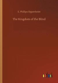 bokomslag Kingdom of the Blind