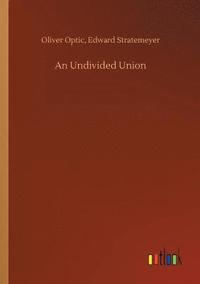 bokomslag An Undivided Union