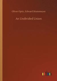 bokomslag Undivided Union