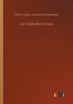 bokomslag Undivided Union