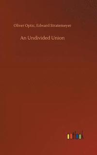 bokomslag Undivided Union