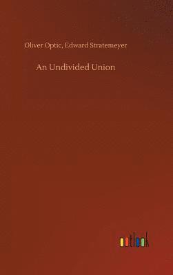 bokomslag Undivided Union