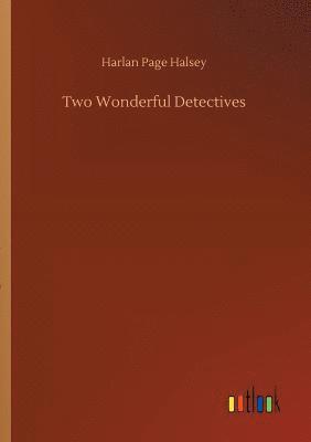 bokomslag Two Wonderful Detectives