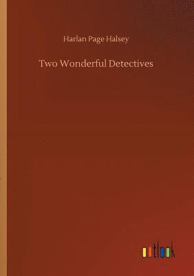 Two Wonderful Detectives