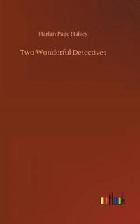 bokomslag Two Wonderful Detectives