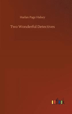 bokomslag Two Wonderful Detectives