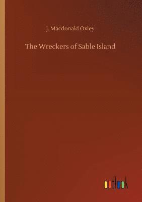 bokomslag The Wreckers of Sable Island