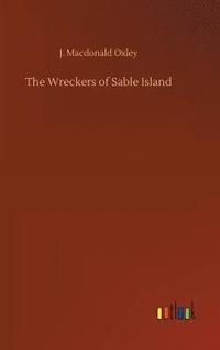 bokomslag The Wreckers of Sable Island