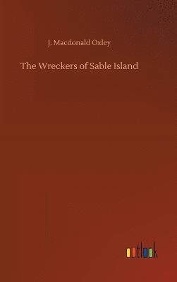 bokomslag Wreckers of Sable Island