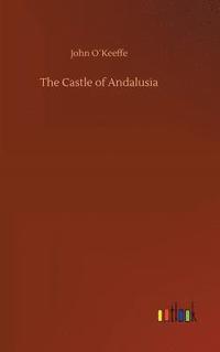 bokomslag The Castle of Andalusia
