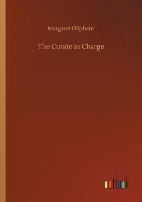 bokomslag Curate in Charge