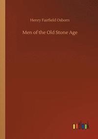 bokomslag Men of the Old Stone Age