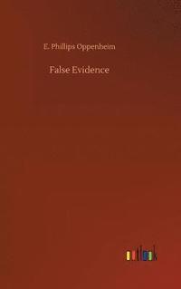 bokomslag False Evidence