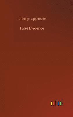 bokomslag False Evidence