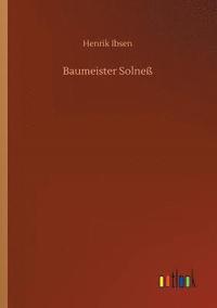 bokomslag Baumeister Solneß