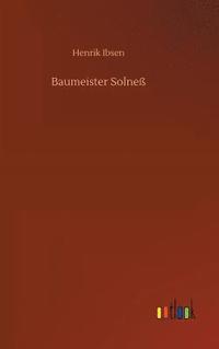bokomslag Baumeister Solneß