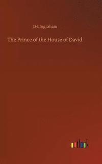 bokomslag Prince of the House of David