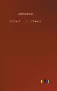 bokomslag Brief History of Panics