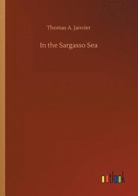 bokomslag In the Sargasso Sea