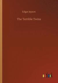 bokomslag Terrible Twins