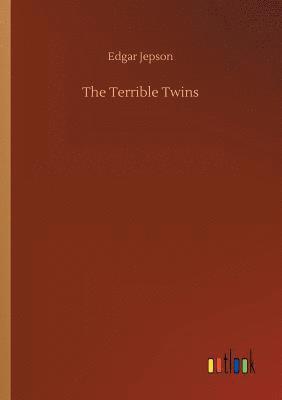 bokomslag Terrible Twins