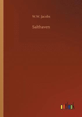 bokomslag Salthaven