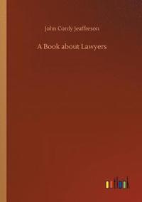 bokomslag A Book about Lawyers