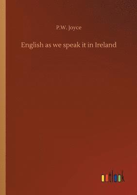 bokomslag English as we speak it in Ireland