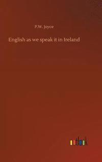 bokomslag English as we speak it in Ireland