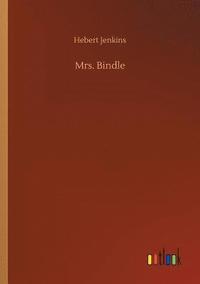 bokomslag Mrs. Bindle
