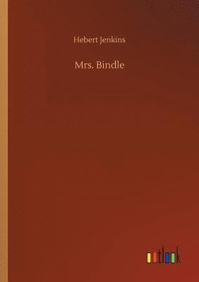 bokomslag Mrs. Bindle