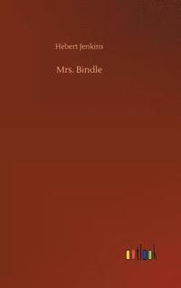 bokomslag Mrs. Bindle