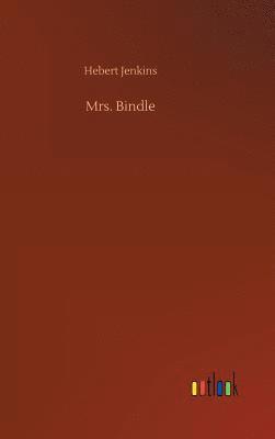 bokomslag Mrs. Bindle