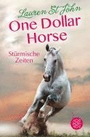 One Dollar Horse, Band 3 - Stürmische Zeiten 1