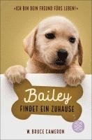 bokomslag Bailey findet ein Zuhause