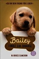 W. Bruce Cameron - Bailey findet ein Zuhause, Häftad