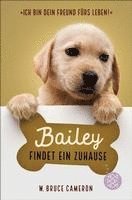 Bailey findet ein Zuhause 1