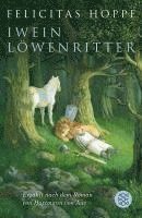 bokomslag Iwein Löwenritter