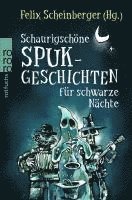 Schaurigschöne Spukgeschichten für schwarze Nächte