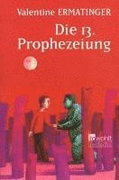 bokomslag Die 13. Prophezeiung