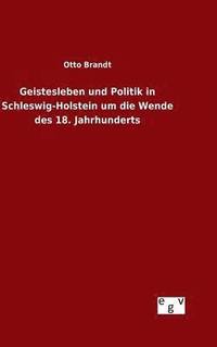 bokomslag Geistesleben und Politik in Schleswig-Holstein um die Wende des 18. Jahrhunderts
