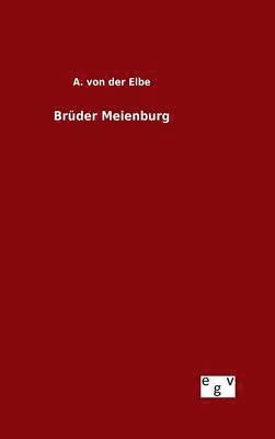 bokomslag Brüder Meienburg