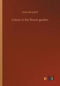 bokomslag Colour in the flower garden