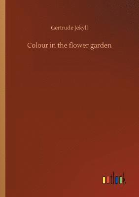 Colour in the flower garden