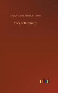 bokomslag Mary of Burgundy