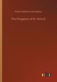bokomslag Purgatory of St. Patrick